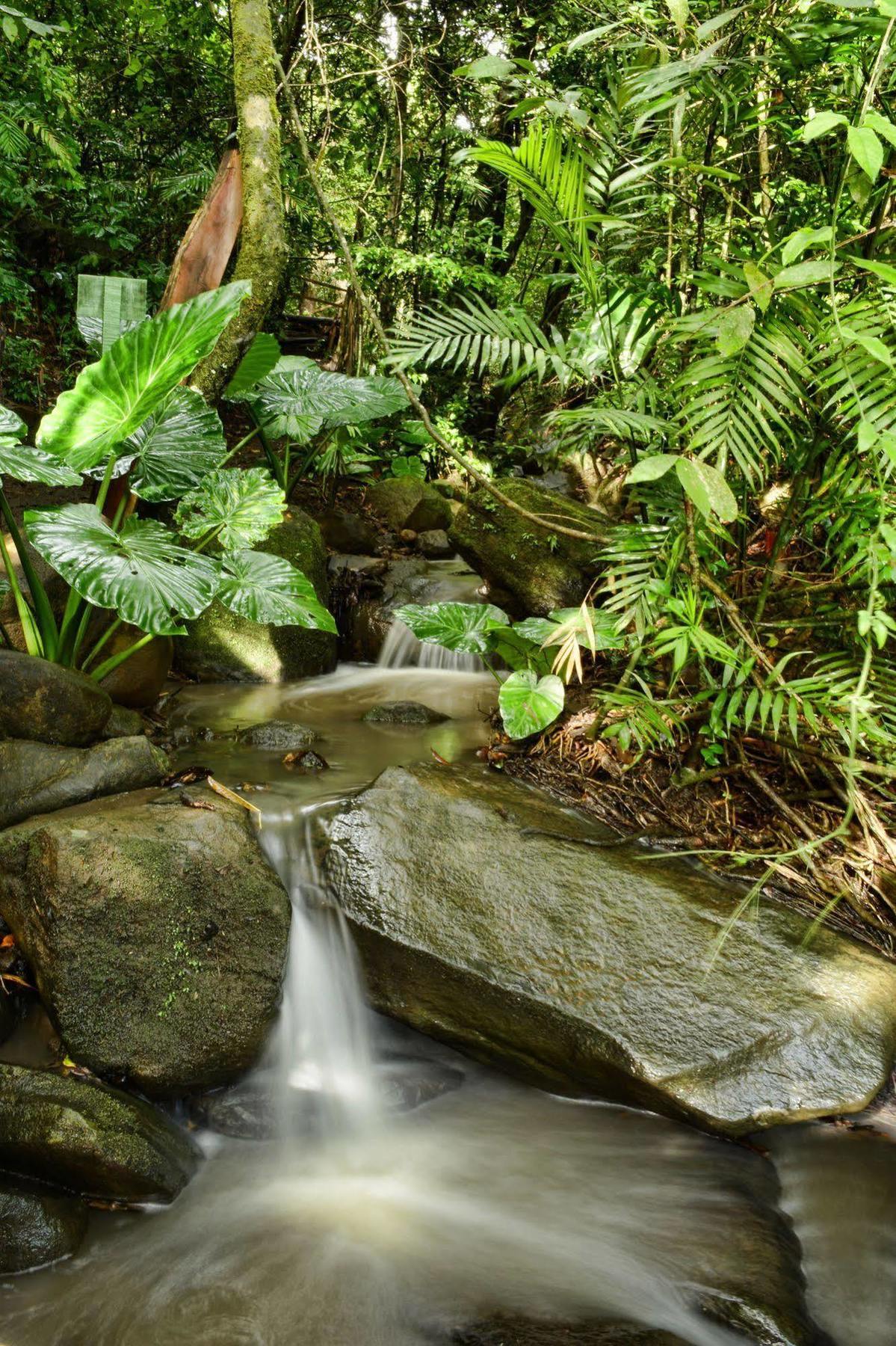 Hotel Valle Escondido Nature Reserve Hotel & Farm